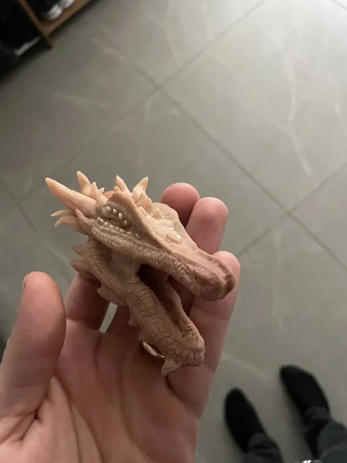 Lizard Dragon, photo 7